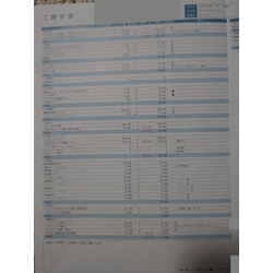 費用明細1