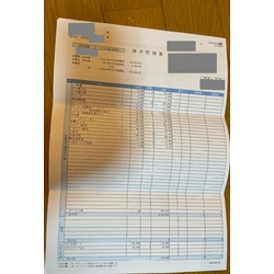 費用明細1