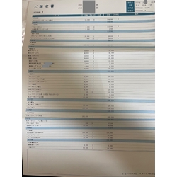 費用明細1