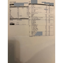 費用明細1