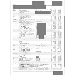 費用明細1