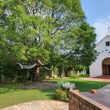 鞘ヶ谷ガーデン　アグラス（Sayagatani garden aglass）の画像