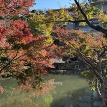 八芳園の写真｜庭園