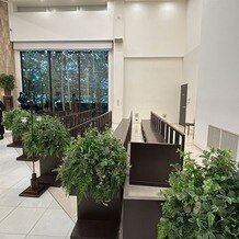 八芳園の写真｜挙式会場｜2025-11-13 23:41:03.0mieさん投稿