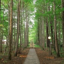 星野リゾート　軽井沢ホテルブレストンコートの画像｜キャンドルナイトの開催時期だったので、お庭にツリーがありました