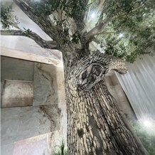 ザ コンチネンタル横浜の画像｜ディズニーランドの設計に携わった方が作られたというオリーブの木
隠れハートがかわいい