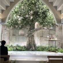 ザ コンチネンタル横浜の写真｜挙式上にあるオリーブの木です。
実際に見たらもっと素敵です。