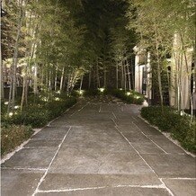 横浜迎賓館の写真｜入口付近の竹林