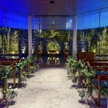 レ アール ド セゾン・セージの写真｜その他｜2025-10-11 12:32:18.0ごまだんごさん投稿