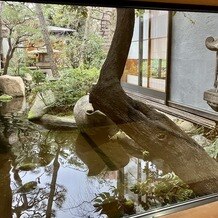 つきじ治作の画像｜正座したときに見える庭園風景