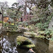 つきじ治作の画像｜庭園風景