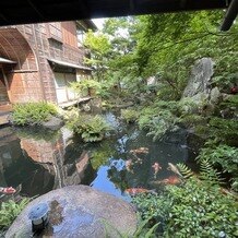 つきじ治作の写真｜その他｜2025-06-24 14:41:18.0うめさん投稿
