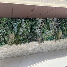 ビアンカーラ　ヒルサイドテラス（ＢＩＡＮＣＡＲＡ　ＨＩＬＬＳＩＤＥ　ＴＥＲＲＡＣＥ）の画像