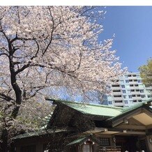 東郷神社／東郷記念館の画像