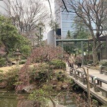 東郷神社／東郷記念館の画像