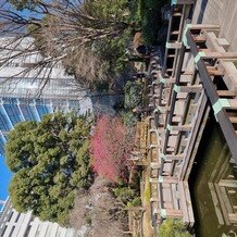 東郷神社／東郷記念館の画像