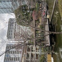 東郷神社／東郷記念館の画像