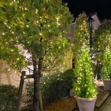 ピアザ ララ ルーチェの画像｜木々もライトで装飾されていてクリスマスのイルミネーションみたいだね～とみんなでほっこりしました。