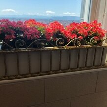 名古屋マリオットアソシアホテルの画像｜挙式会場入口付近窓の装花