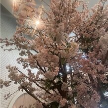 ローズガーデンクライスト教会の画像