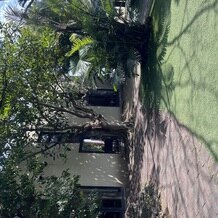 THE LUIGANS Spa &amp; Resort（ザ・ルイガンズ. スパ ＆ リゾート）の画像