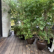 THE KAWABUN NAGOYAの画像｜ガーデン挙式