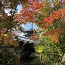 ザ ソウドウ ヒガシヤマ キョウト(THE SODOH HIGASHIYAMA KYOTO)の画像｜庭からの景色