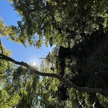 ザ ソウドウ ヒガシヤマ キョウト(THE SODOH HIGASHIYAMA KYOTO)の画像