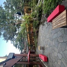 エルム ガーデンの写真｜その他｜2025-09-25 21:48:14.0カモミールさん投稿