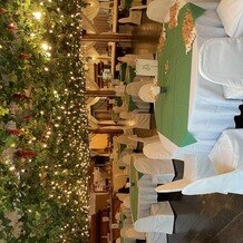 ぶどうの樹 GREEN WEDDING @岡垣町の写真｜その他｜2025-05-06 09:29:03.0ホークスさん投稿