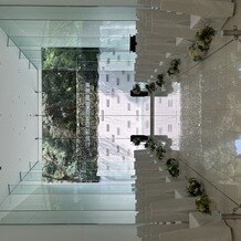 ぶどうの樹 GREEN WEDDING @岡垣町の写真｜その他｜2025-09-08 22:02:44.0ぺんぎんさん投稿