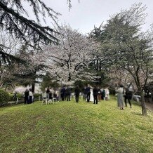 世田谷美術館レストラン ル・ジャルダンの写真｜挙式会場｜2025-04-09 15:12:32.0ayu1990さん投稿