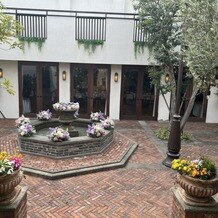 クオーリ　クオーリの画像