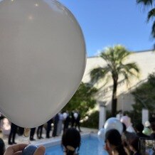 The Palm Garden（ザ・パームガーデン）の画像