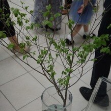 ＡＭＡＮＤＡＮ ＨＩＬＬＳ（アマンダンヒルズ）の画像｜ドウダンツツジを飾りました