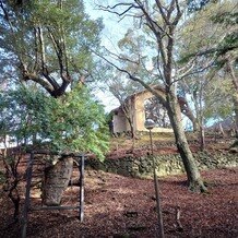 THE HILLTOP TERRACE NARA（ザ・ヒルトップテラス奈良）の写真｜式場下からのチャペル