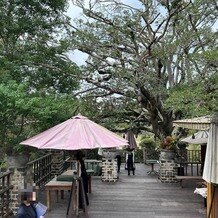 THE HILLTOP TERRACE NARA（ザ・ヒルトップテラス奈良）の画像｜モチの木