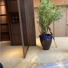 会津・東山温泉　御宿 東鳳の写真｜披露宴会場に通じる通路に観葉植物があり、とても良い雰囲気でした。