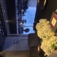 グローヴ ウィズ アクア スタイルの画像