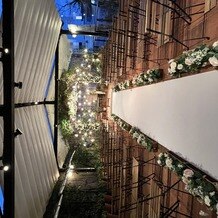 ノビアノビオの写真｜その他｜2025-01-20 21:29:53.0kasumyさん投稿