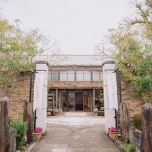 ノビアノビオの画像