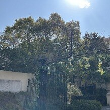 THE CHELSEA COURT（ザ・チェルシーコート）の画像