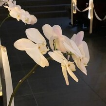 ソラ 神戸　SOLA KOBEの画像｜チャペル装花