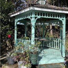 花の宴(hana no utage)の画像