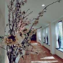 大宮 清水園の画像