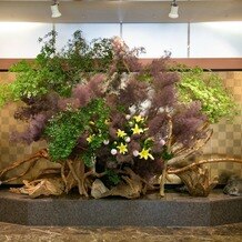 東京大神宮／東京大神宮マツヤサロンの写真｜披露宴・パーティー会場｜2025-09-20 13:28:56.0tttさん投稿