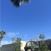 バリテラスCoCo金沢の写真｜その他｜2025-07-21 22:28:58.0mouさん投稿