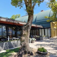 SHIROYAMA HOTEL kagoshima（城山ホテル鹿児島）の写真｜飼い犬も連れていけるみたいです。