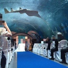 品川プリンスホテルの画像｜水族館トンネル水槽での挙式