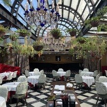 Stellato（ステラート）の写真｜その他｜2025-09-17 17:11:07.0taekoさん投稿